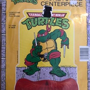 Vintage Ninja Turtles Party Honeycomb / Door